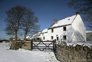 Old Wingate Farm
