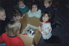 A rabbit came to visit Nov 1992