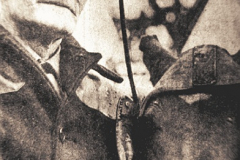 Alex Poole and Duke, 1968. Duke was the last pit pony in Wheatley Hill Colliery.