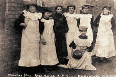 Wheatley Hill Ladies Football Team ("Rosy Rapids" AFC), 1909.
