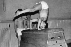 Senior Boys Gymnastic team