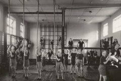 Gymnasium