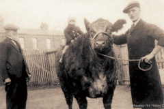 Hedley's Butchers, Front Street, c.1931.
