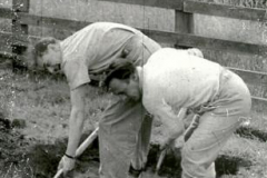 Teachers(3) at School Camp 1951- Arthur Stabler and Ned Ward digging latrines!