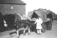 Co-op, 1949: Billy Nattrass with the Store horse and cart