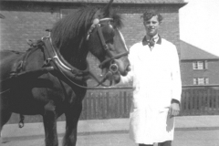 Co-op, 1940s: Jimmy Cain and the Store horse ('Robin')